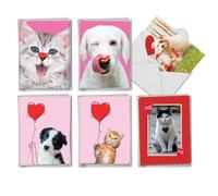 The Best Card Company Juego de 36 tarjetas de notas surtidas para el día de San Valentín de 4 x 5.12 pulgadas con sobres (6 diseños, 6 de cada uno) Pet Love AM10972VDG-B6x6