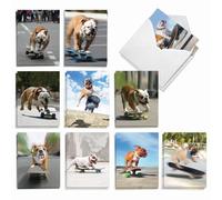 The Best Card Company, Patinaje Bulldogs - 20 tarjetas de todas las ocasiones en caja - Juego a granel, AM9517OCB-B2x10
