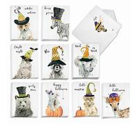 The Best Card Company Spooky Be Wild AM9543HWG-B2x10 - Tarjetas de felicitación de Halloween con sobres (10 x 5.12 pulgadas)