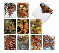 The Best Card Company, The Monarchs AM9538OCB-B2x10 - Juego de 20 tarjetas para todas las ocasiones