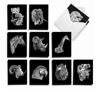 The Best Card Company Wildlife Sketches AM2817OCB-B2 x 10 - 20 tarjetas de notas en caja surtidos con sobres (4 x 5.12 pulgadas)