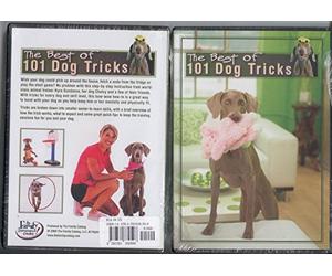 The Best of 101 Dog Tricks: Includes: 16 Best Dog Tricks Fun for You and Your Dog