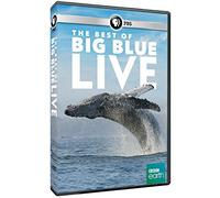 The Best of Big Blue Live [USA] [DVD]