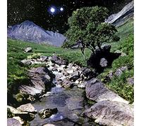 The Beta Band - The Beta Band - Edición Deluxe