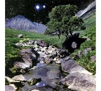 The Beta Band The Beta Band (Vinyl) Deluxe 12" Album with CDEP