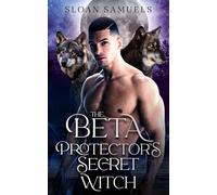 The Beta Protector's Secret Witch: A Fated Mates Wolf Shifter Paranormal Romance (District of Wolf Desires)