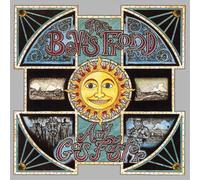 The Bevis Frond Any Gas Faster (Vinyl) 12" Album