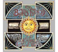 The Bevis Frond - Any Gas Faster [VINYL] [Vinilo]