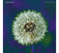 The Bevis Frond - Focus On Nature [VINYL] [Vinilo]