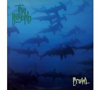The Beyond - Crawl