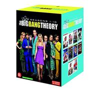 The Big Bang Theory - Saisons 1 à 10 [Francia] [DVD]