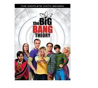 The Big Bang Theory: The Complete Ninth Season [USA] [DVD]