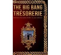 THE BIG BANG TRÉSORERIE: Itinéraire d’un techno-thriller : Le casse millénium