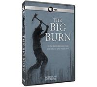 The Big Burn (American Experience) [USA] [DVD]