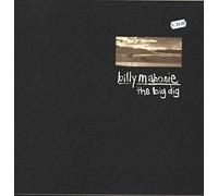 The Big Dig [Vinilo]