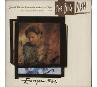 The Big Dish - European rain / Vinyl single [Vinyl-Single 7'']