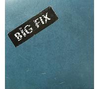 The Big Fix