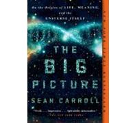 The Big Picture (ebook)