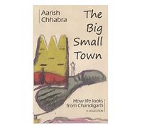 The Big Small Town: How life looks from Chandigarh