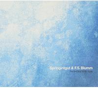 The Bird and White Noise by Springintgut and F.S.Blumm