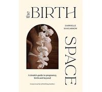 The Birth Space: A Doula's Guide to Pregnancy, Birth and Beyond