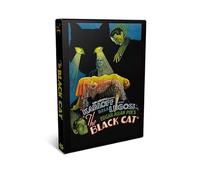 The Black Cat (1934) Adventure, Crime, Horror Movie on DVD (DVD-R)