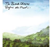 The Black Crowes - Before the Frost...