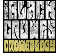 Black Crowes – Croweology – Vinilo 12" (Importación USA)