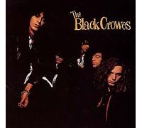 the Black Crowes - Shake Your Money Maker
