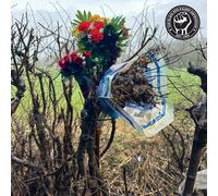 The Black Dog Sleep Deprivation (Vinyl) 12" Album (Importación USA)