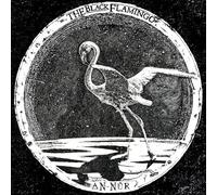 The Black Flamingo - An-Nur [Vinilo]