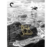 The Black Stallion (Blu-ray) (Importación USA)