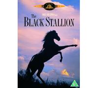The Black Stallion [Reino Unido] [DVD]