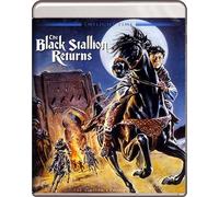 The Black Stallion Returns