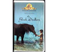 The Black Stallion [USA] [VHS]