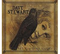 The Blackbird Diaries by Dave Stewart (2011-08-23)