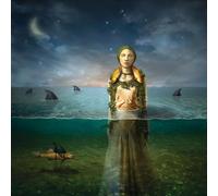 The Bled - Found In The Flood[LP] [Vinilo]