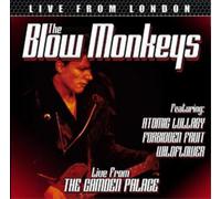 The Blow Monkeys Live from London (CD) Album (Importación USA)