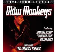 The Blow Monkeys Live from London (CD) Album (Importación USA)