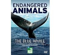 The Blue Whale (Endangered Animals) [DVD]