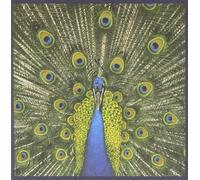 The Bluetones - Expecting To Fly