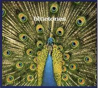 The Bluetones - Expecting To Fly