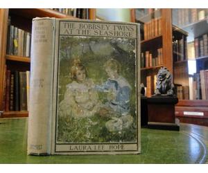 the bobbsey twins at the seashore