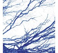 The Bony King of Nowhere - Silent Days [Import]