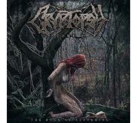 The Book Of Suffering - Tome 1 [Vinilo]