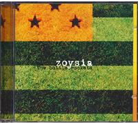 The Bottle Rockets - Zoysia