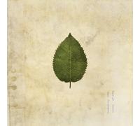 THE BOXER REBELLION - THE COLD STILL (GREEN SWIRLED VINYL) [Vinilo]