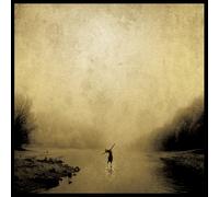 THE BOXER REBELLION - UNION (GOLD SWIRLED VINYL) [Vinilo]