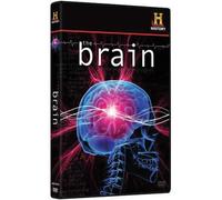 The Brain [USA] [DVD]