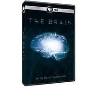 The Brain With David Eagleman [USA] [DVD]